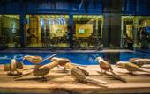 Туры в отель Greenhost Boutique Hotel