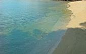 Туры в отель Gayana Marine Resort
