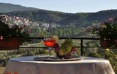 Туры в отель Hotel Firenze