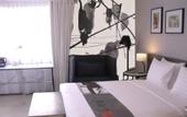 Туры в отель Scala Bed And Beyond