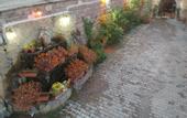 Туры в отель Family Cave Suites Hotel
