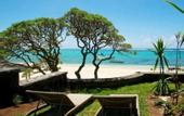 Туры в отель Coral Bay by Dream Escapes