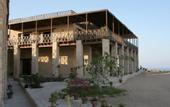 Туры в отель The Oasis Dive Resort