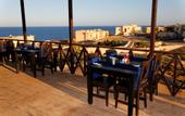 Туры в отель The Oasis Dive Resort