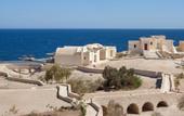 Туры в отель The Oasis Dive Resort