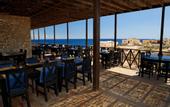 Туры в отель The Oasis Dive Resort