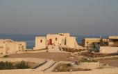 Туры в отель The Oasis Dive Resort