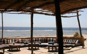 Туры в отель The Oasis Dive Resort