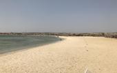 Туры в отель The Oasis Dive Resort