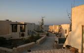 Туры в отель The Oasis Dive Resort