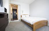 Туры в отель Flexstay Inn Nakanobu