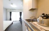 Туры в отель Flexstay Inn Nakanobu