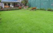 Туры в отель The Golf Green Hotel