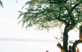 Туры в отель Gili Amor Boutique Resort