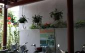 Туры в отель Tue Tam Villa