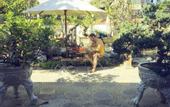 Туры в отель Bonsai Villa Hoi An
