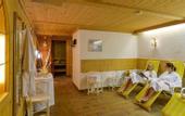 Туры в отель Hotel Alpenhof
