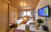 Туры в отель Hotel Alpenhof