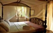 Туры в отель The Waves Beach Chalets