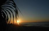 Туры в отель The Waves Beach Chalets