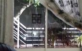 Туры в отель City Resort