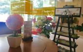 Туры в отель Sunny Beach Hotel & Apartment