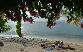 Туры в отель Sal Secret Spot