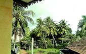 Туры в отель Randi Homestay