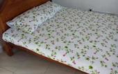 Туры в отель Randi Homestay