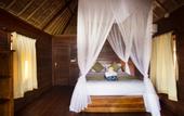 Туры в отель Laguna Reef Huts