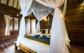 Туры в отель Laguna Reef Huts