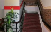 Туры в отель Dona Hotel