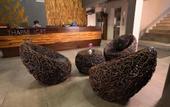 Туры в отель Thapae Loft