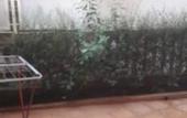 Туры в отель Rooms Kuljic