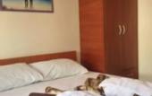 Туры в отель Rooms Kuljic