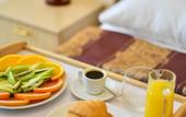 Туры в отель METROPOL HOTEL Yerevan