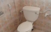 Туры в отель Oasis Inn