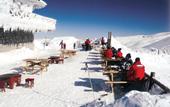 Туры в отель Genc Yazici Hotel