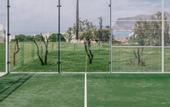Туры в отель Mangia's Favignana Resort