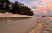 Туры в отель Nest Style Beach Hotel Zanzibar