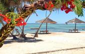 Туры в отель Nest Style Beach Hotel Zanzibar