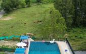 Туры в отель Golden Manora Hotel Bangtao Beach