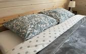 Туры в отель Гостевой комплекс Сосны
