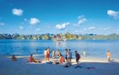 Туры в отель Swan Cruises Halong