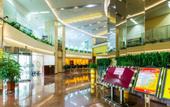Туры в отель The Twenty First Century Hotel