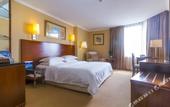 Туры в отель The Twenty First Century Hotel