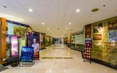 Туры в отель The Twenty First Century Hotel