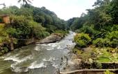 Туры в отель Jarabacoa River Club