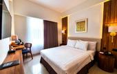 Туры в отель Coast Boutique Apartments