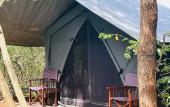 Туры в отель Mahoora Tented Safari Camp Udawalawe
